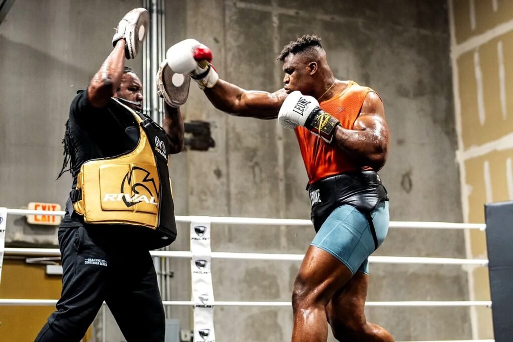 Francis Ngannou certainly seems to like boxing a lot more than MMA: "I'm not leaving"